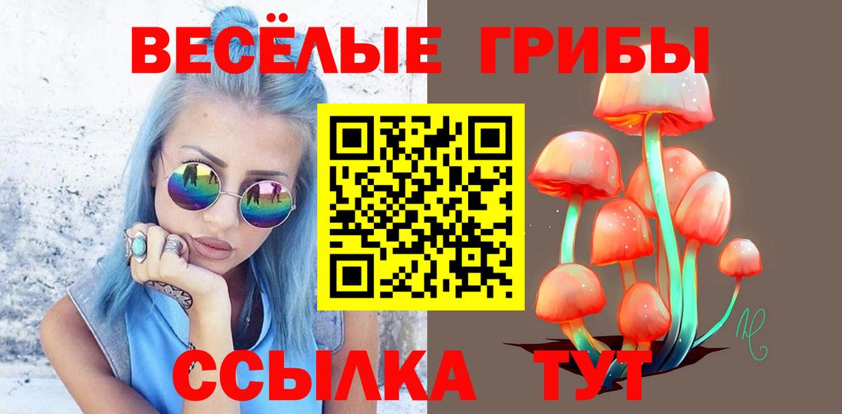 Псилоцибиновые грибы прущие грибы Мурманск